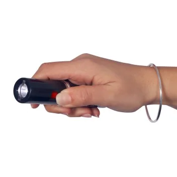 Shocker Lampe rouge a lèvres Rechargeable 2.000.000 Volts Noir *